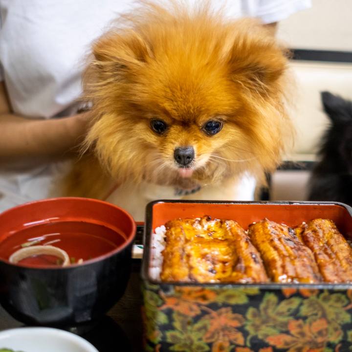 6a05a6eb c03c 4d8d a240 fe76a0993901 1563885408812