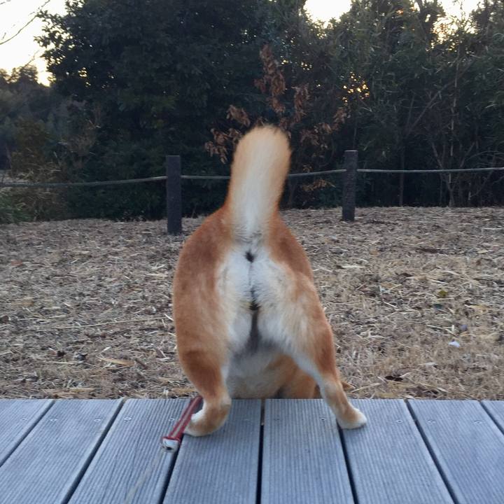 6a05aa6e a870 4182 9a11 841eb8233cc9 1519822833427