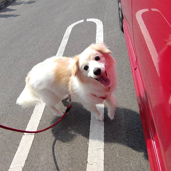 6a05c09a 01f6 432b 8f9b ec1facf07f0e 1655069932158