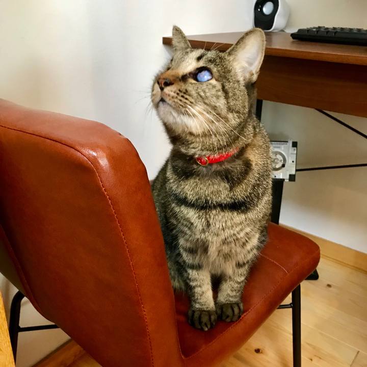 6a05d929 a54e 4557 ba14 ba49d9b8a119 1540951451512