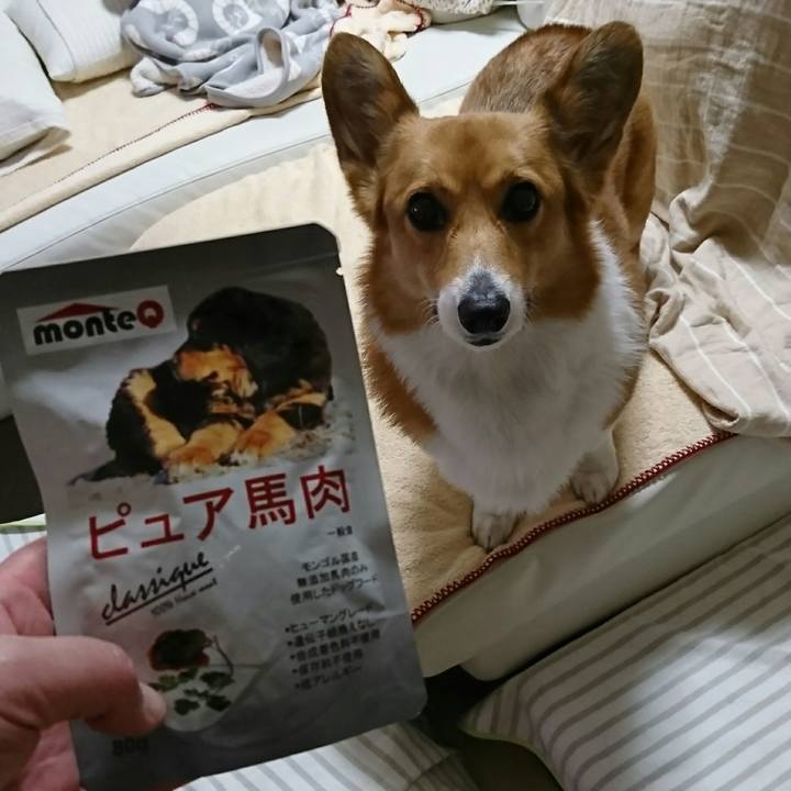 6a05f7b6 bd92 4136 a8a9 25cad463d0b9 1520159378055