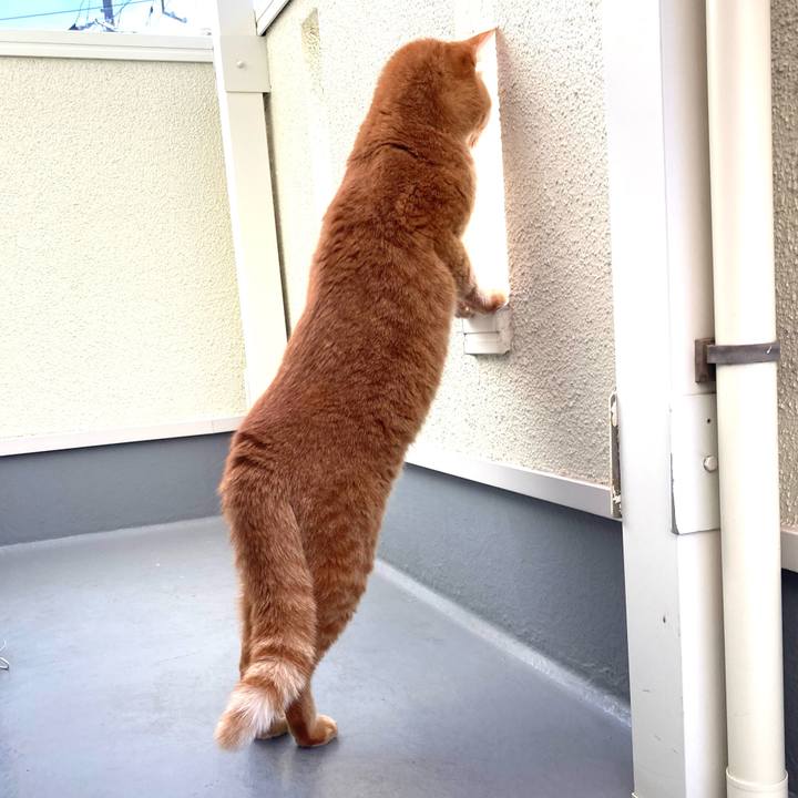 6a060c8c b82f 45dd 8fe5 99498fff6323 1771478453293