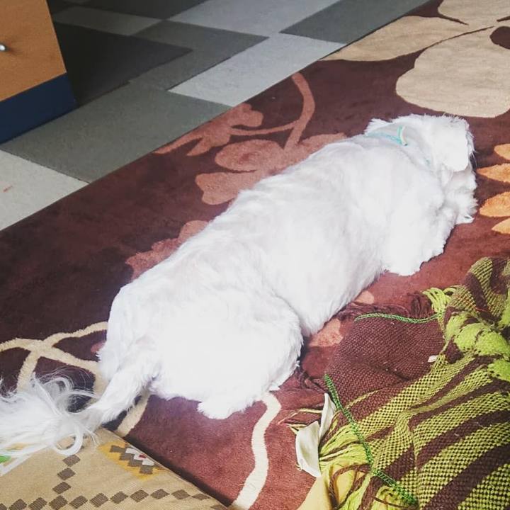 6a060d86 4b7e 48db 83ce efb9f77daa71 1636533066381