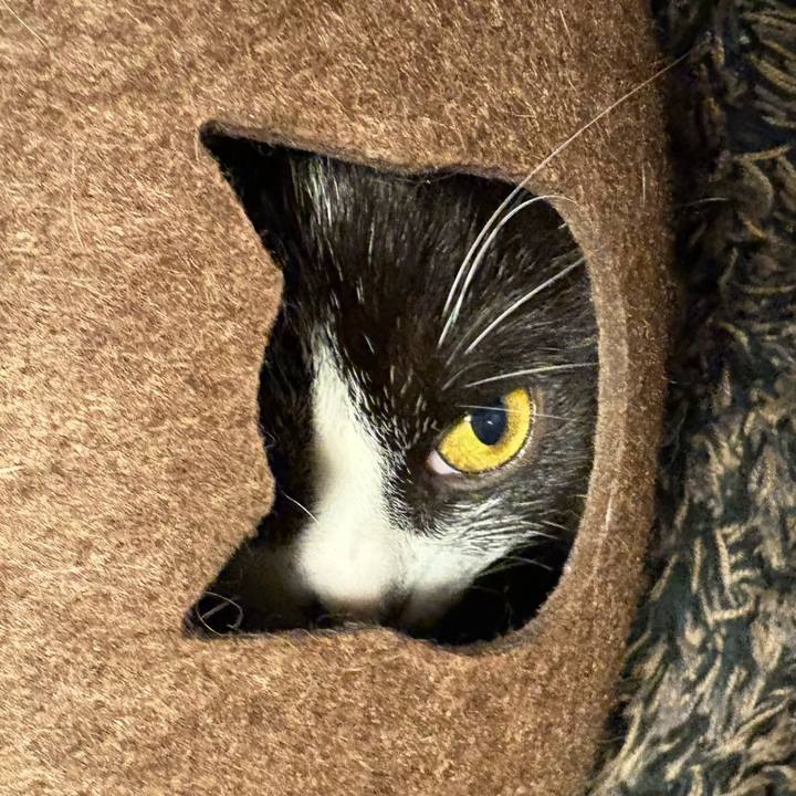 6a065881 0ee0 410b 948b f523327bdb92 1765604908164