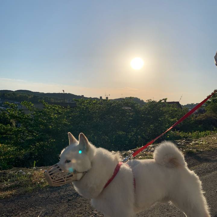 6a068354 2e5a 45ad 836d 993638e2d211 1591217239167