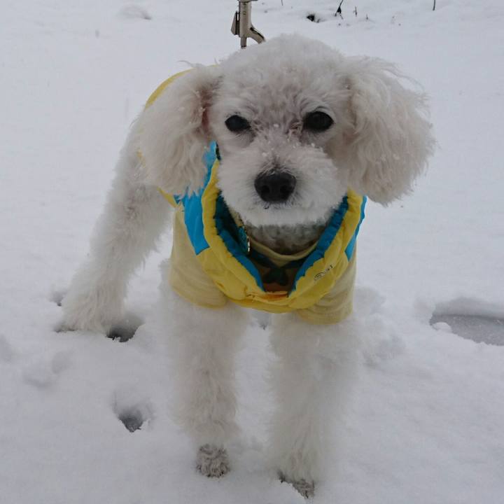 6a06a466 57b6 40a7 ae07 020a3ad8fa5b 1511707651418