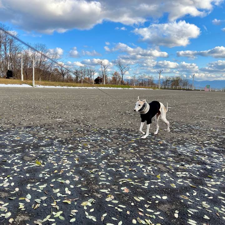 6a06a922 f35d 4360 8f6b 7b6d1f6bbea3 1764057810743