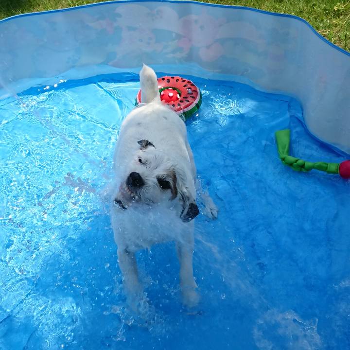 6a06ab16 cede 4ffb ab32 b975ae36a4d8 1533510377997