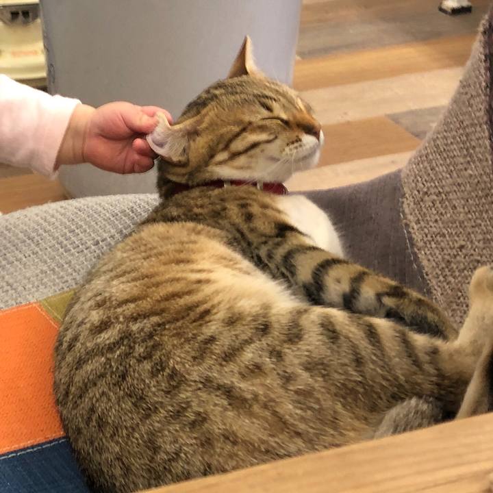 6a06de92 8429 4249 853c c5c4286f56dd 1584518498188