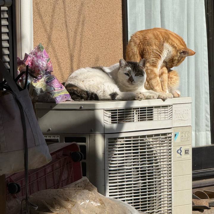 6a06fa93 c399 4558 a50b f3d1fcdd81cd 1770690204243