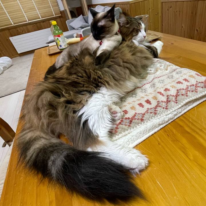 6a070851 6fdf 41fc b88f 14509ac7a4aa 1740390052929