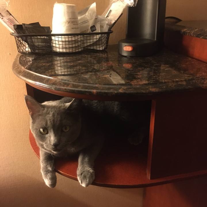 6a07608c b0ac 4023 8998 547293576699 1633829976475