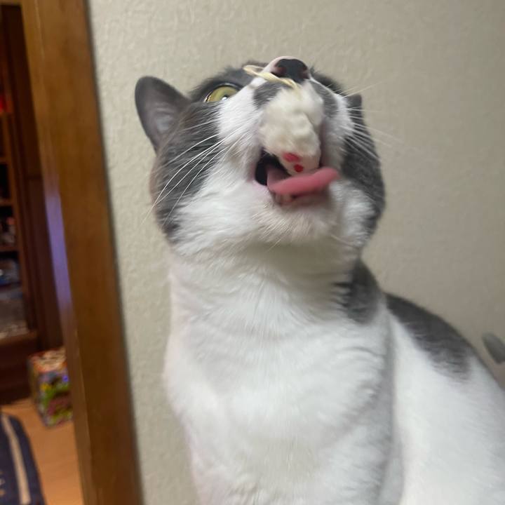 6a077224 c5fd 41a7 bd63 56edb0700be3 1681041403793