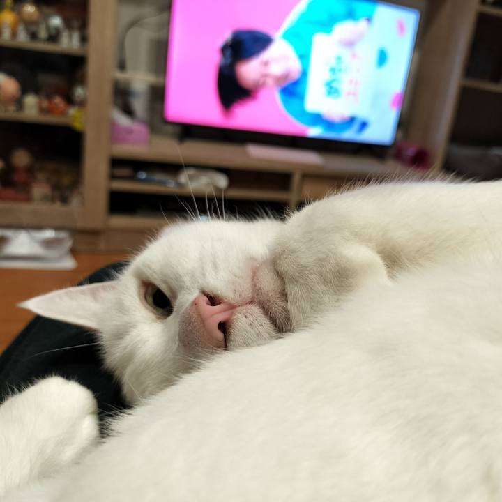 6a0773b8 fd95 49fe b793 e8f11d38b3d7 1770471718835