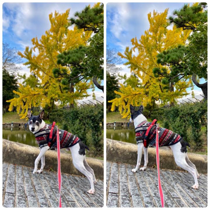 6a079bf3 56af 4094 91ba 9a19373acd3f 1606528088861