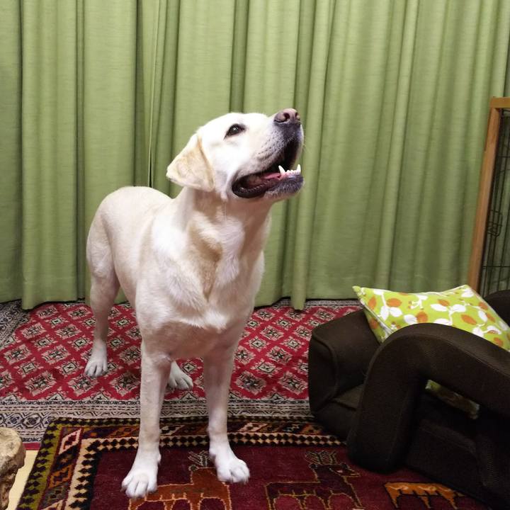 6a07a528 74d3 4c89 a908 c99258fb0c9d 1535025277766