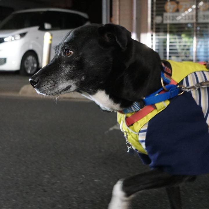 6a07a67e 95d8 4a70 a7cb 8280073f5823 1769770659937