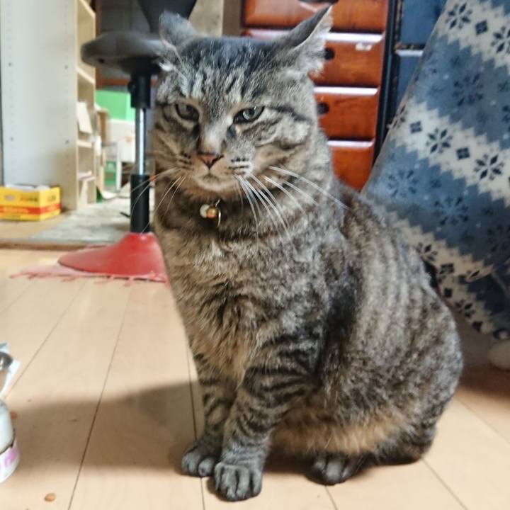 6a07b087 025b 4ecb bf13 e90d240eb6fe 1652349506809