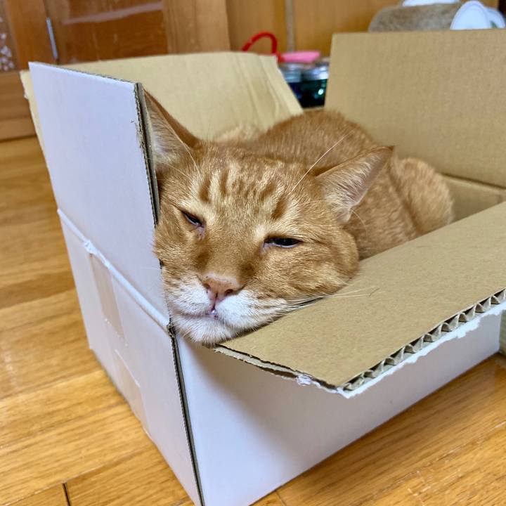 6a07bbff 35fe 4161 a0fd ccb575bad0ff 1597454737542