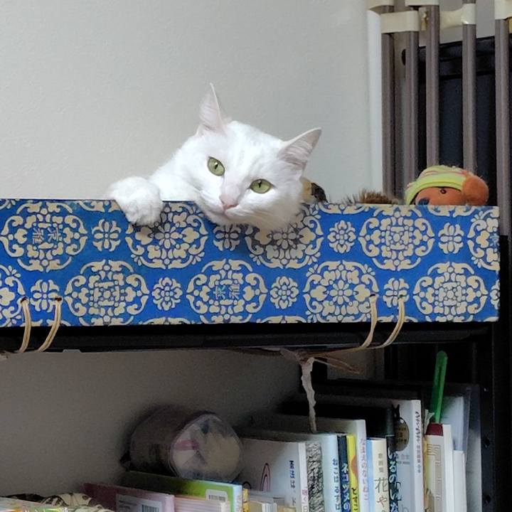 6a07cfbd 2a34 4c05 952f c79bbbbb67be 1766817761586