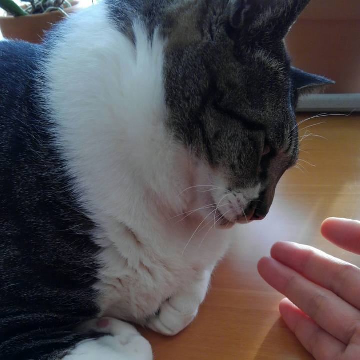 6a07d412 8aa0 4d14 986f b7dccd120e90 1516400596654