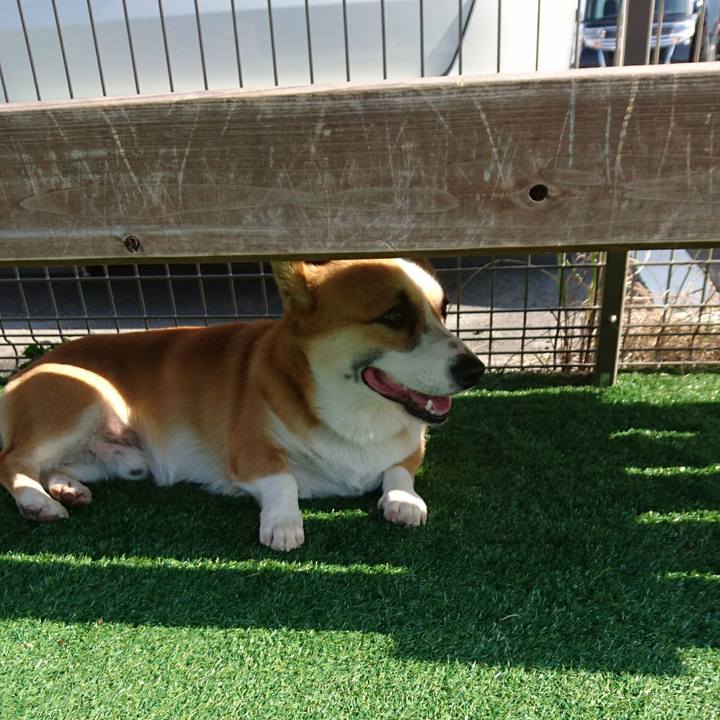 6a0800f1 c432 4dae 86f9 722b1b6b430e 1572745153550