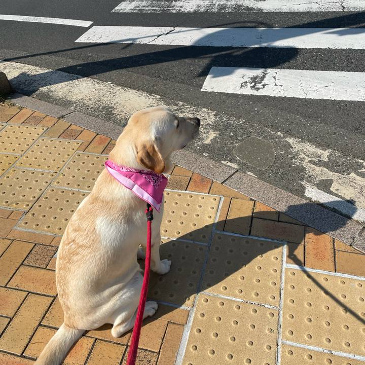 6a0848f2 7b09 4227 bc82 3f5d1ea0cbfe 1635340438305