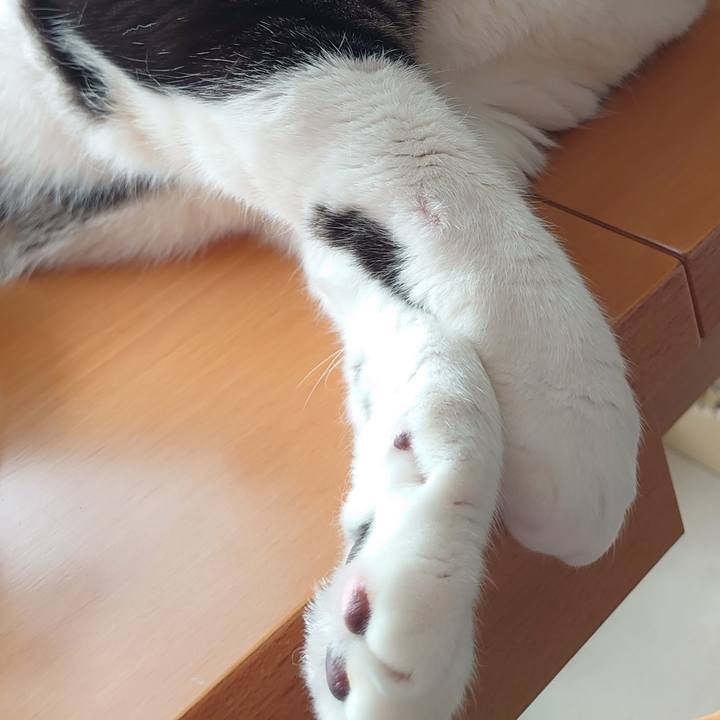 6a089fc4 41ca 483f 9e0b 2e7324273614 1626482663821