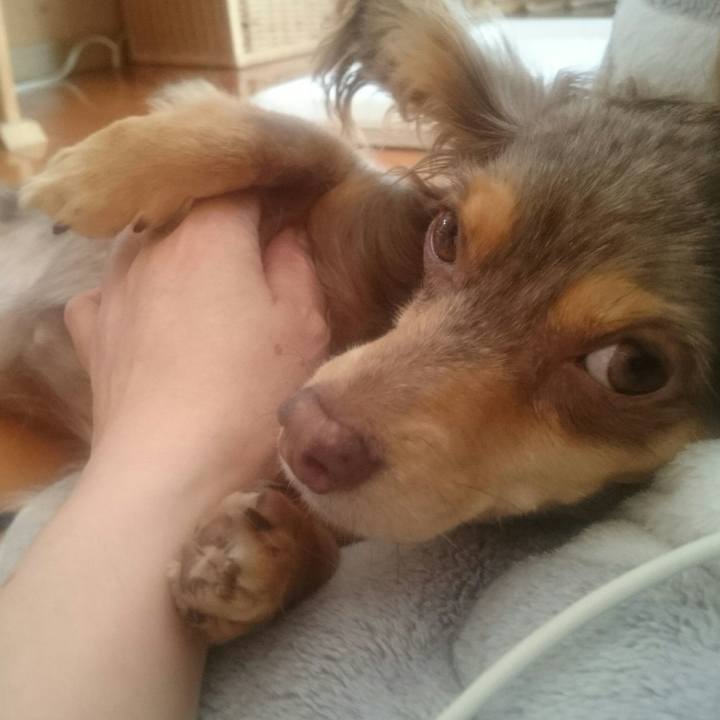 6a08d5e8 6056 4f5f b59e 2d561cee4164 1522560695980