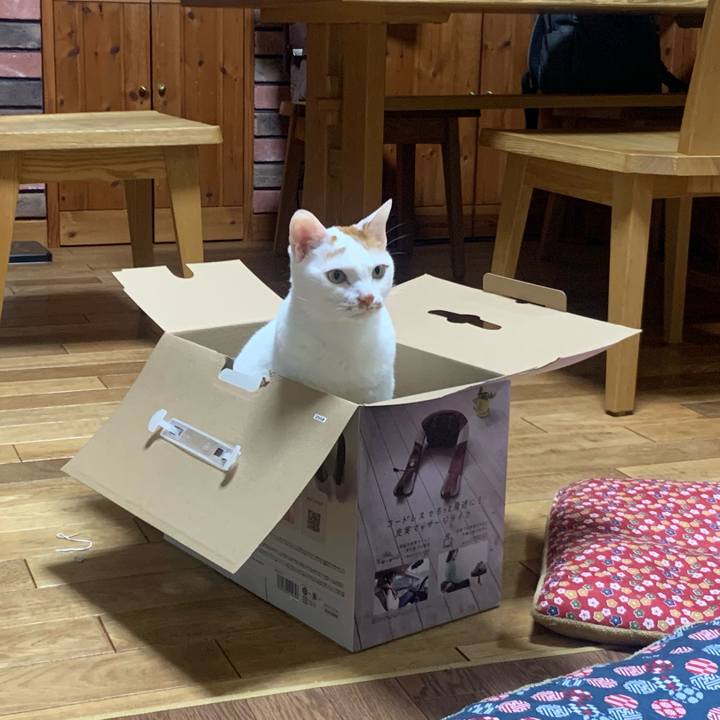 6a08f944 17c2 4375 be1e bc8a5fcd2e6a 1582465364095