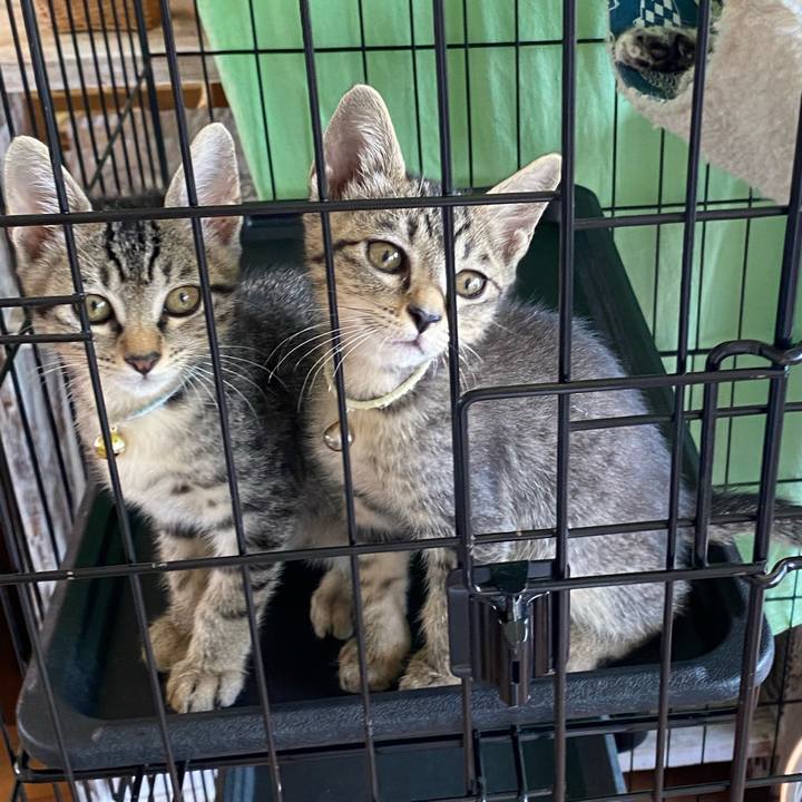 6a0910a9 6ab7 4ded 8394 81c1c9511491 1721799449997