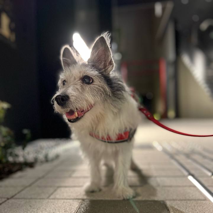 6a091ad2 dd0a 4c39 bc2b 15f0477c4717 1662561907314