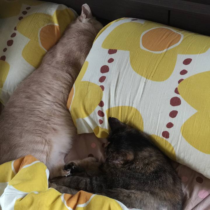 6a093f2a 4a63 4f60 a024 38d862481054 1536634660059