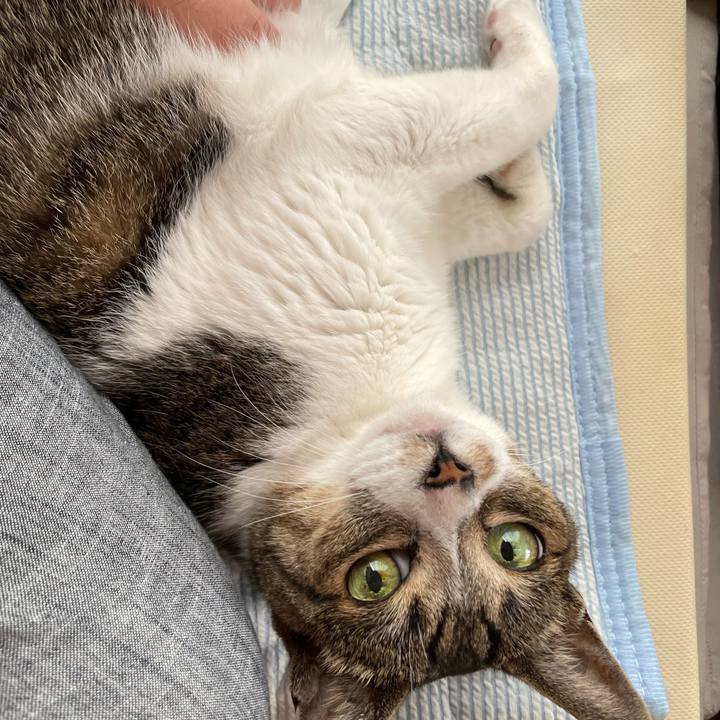 6a093f70 3672 47c3 9a0b 8adc6fcabf9b 1659310025809