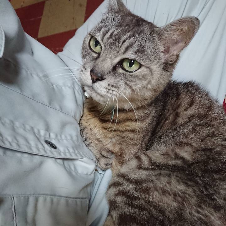 6a095c0b 7cbf 47d7 b2cc 27151d4490df 1567071936450