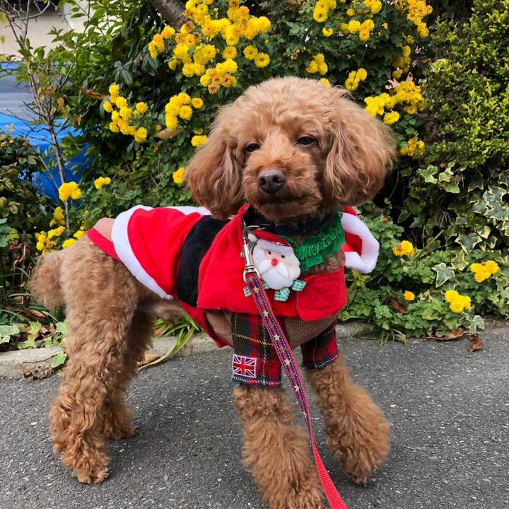 6a09749e 0ef5 46c0 95d1 747ebc3b9322 1577167729201