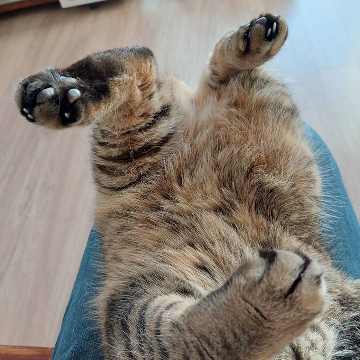 6a098727 7e7c 4d15 8cc6 5b15f62b027c 1669243564358