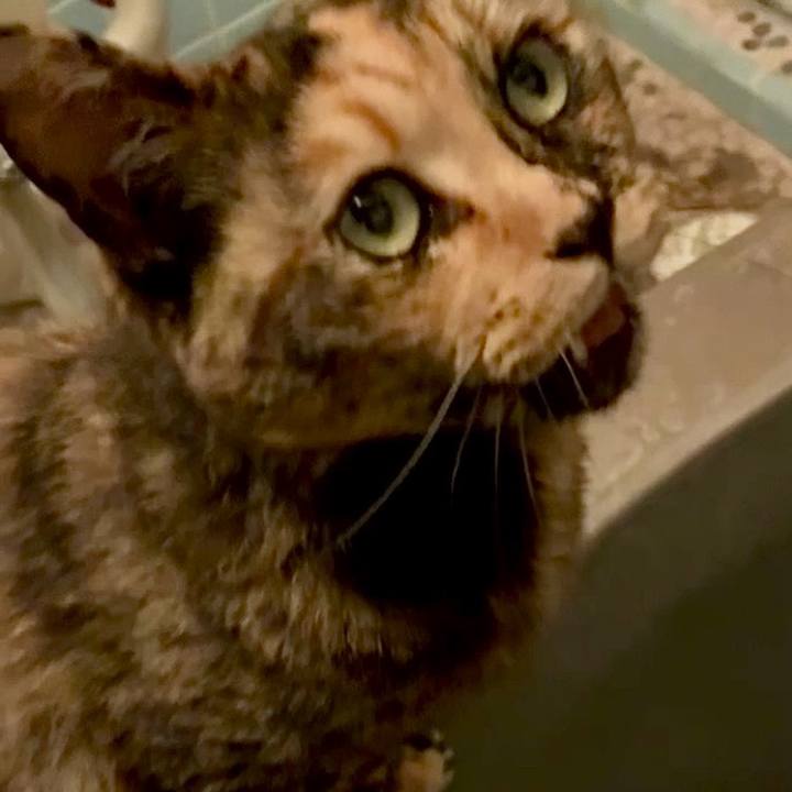 6a0990bb 30bf 4f6c 8801 8870a52f9d62 1748808858286