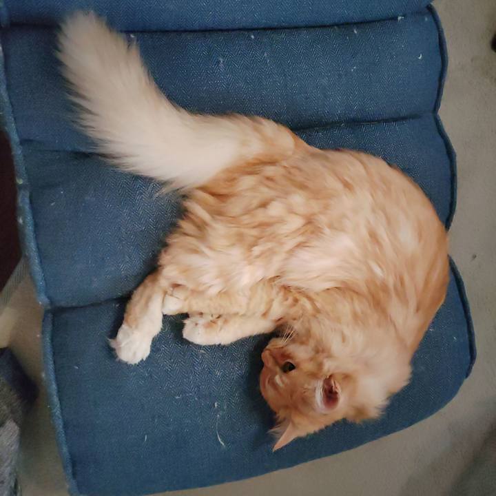 6a099320 1f08 4e14 b736 1d537f41201e 1688778867656