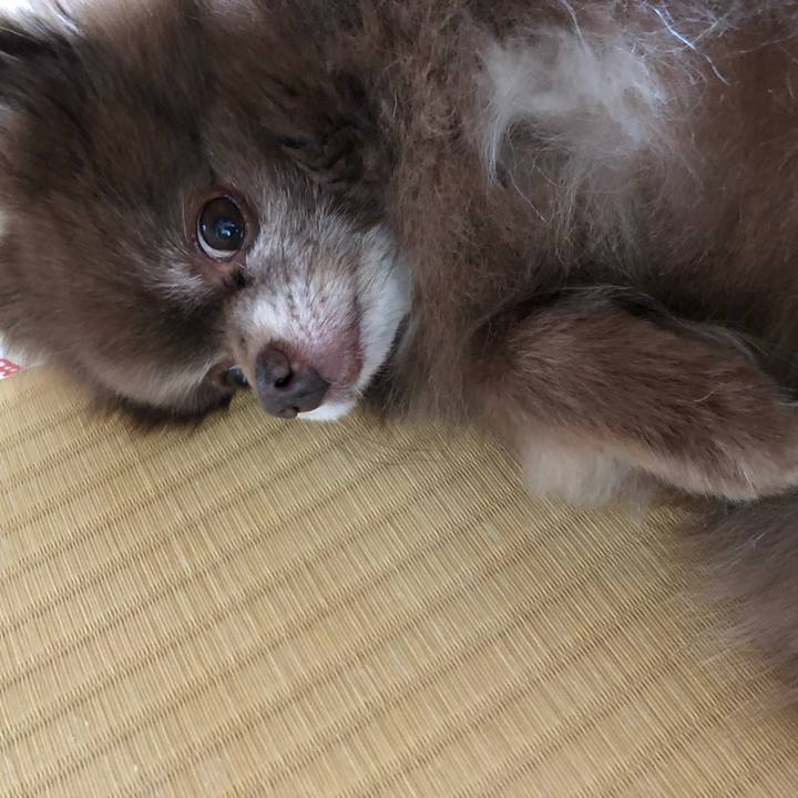 6a09a299 818b 45f9 a96b 48c699b762f3 1562287871560