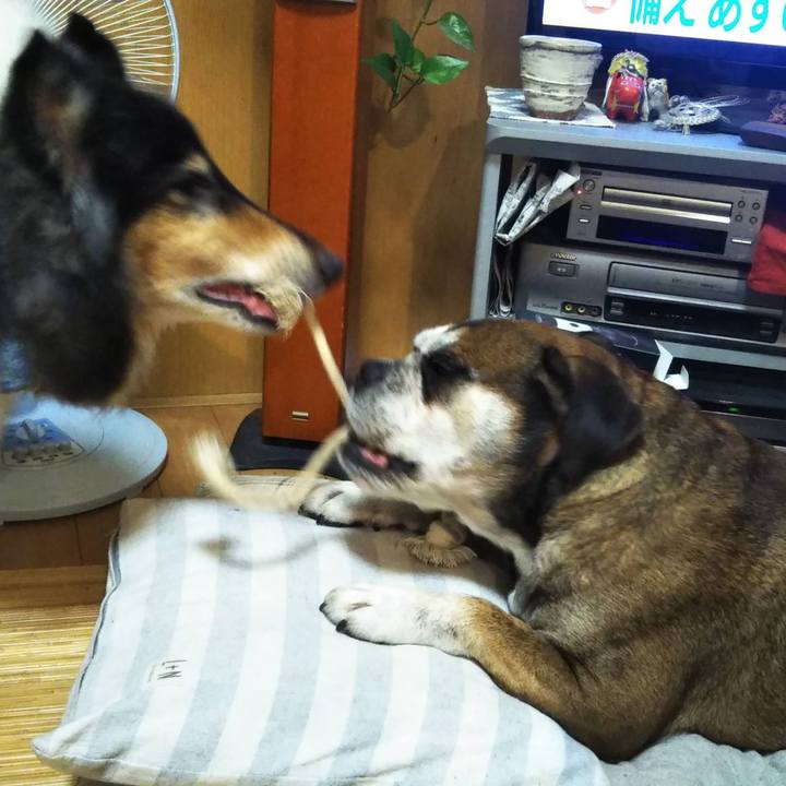 6a09b133 047b 4578 91f4 69d162665476 1704723062996