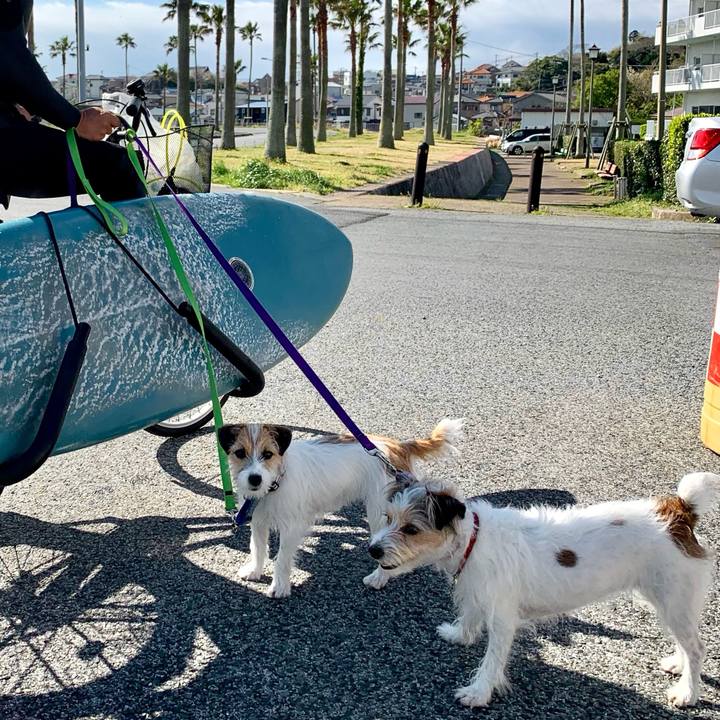 6a09bc7f cade 4fdd 8b11 6046f1a84f4a 1775051591961