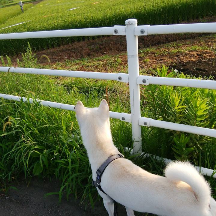 6a09e80e b2f2 43ef b973 96dd6f8fa252 1534283216993