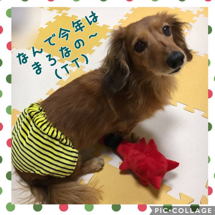 6a0a32f5 7b4c 4e9f b841 62f7c41f011f 1517649115763