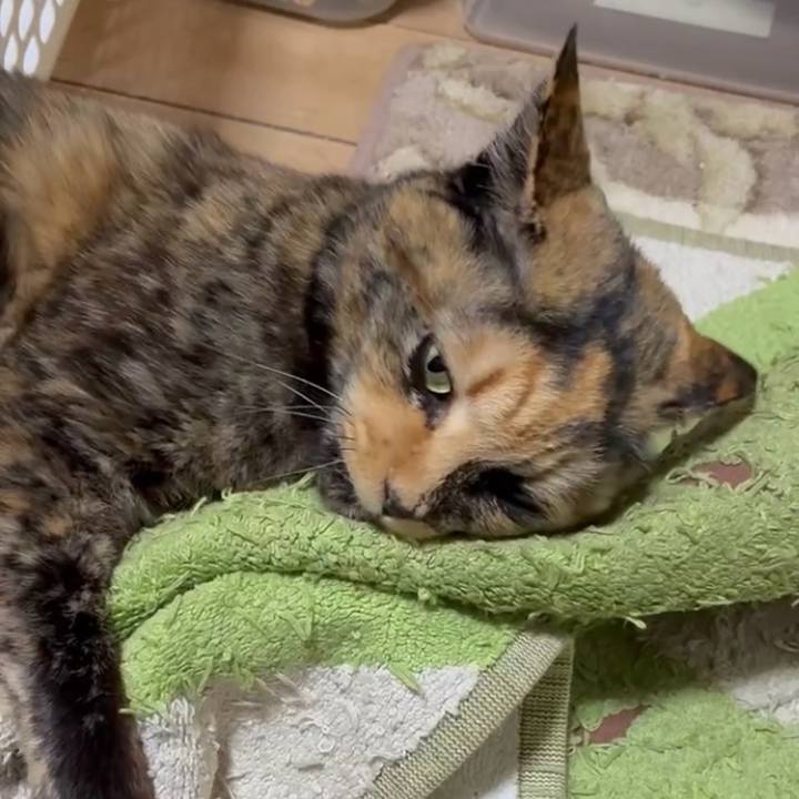 6a0a841b 33b2 4b93 b2a6 370f2b8b13fe 1769290573020