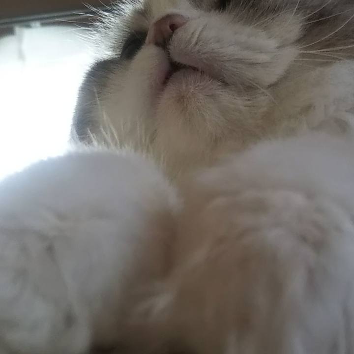 6a0a8816 6658 40fc 930a e2fb07be9775 1627076271231