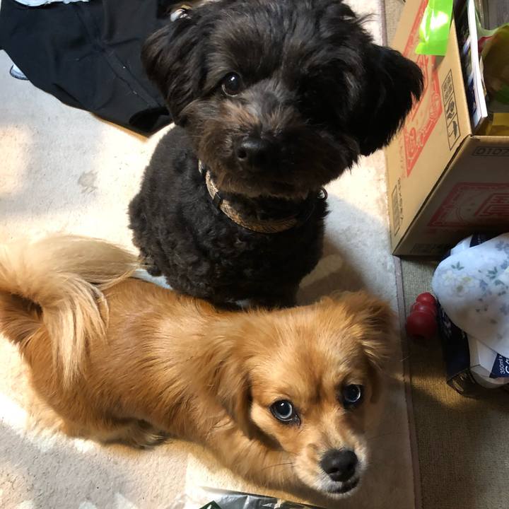 6a0a8875 4c39 4ee9 b0e5 69ecb98dd95f 1518300838687