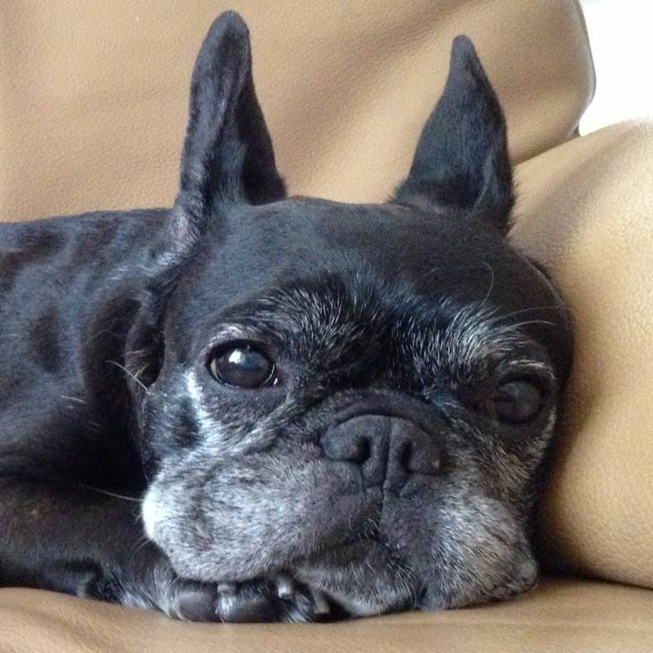 6a0aebf0 1ad0 46e6 8260 891e5187bdb8 1674382821226