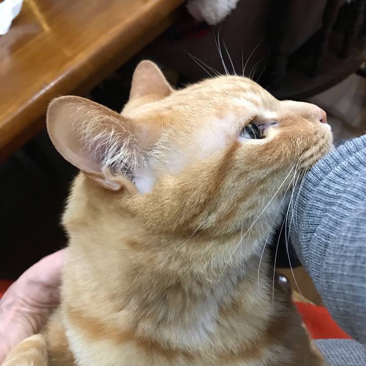 6a0b0d00 4e91 422b 8a47 5ee086d1fdcd 1554121043882