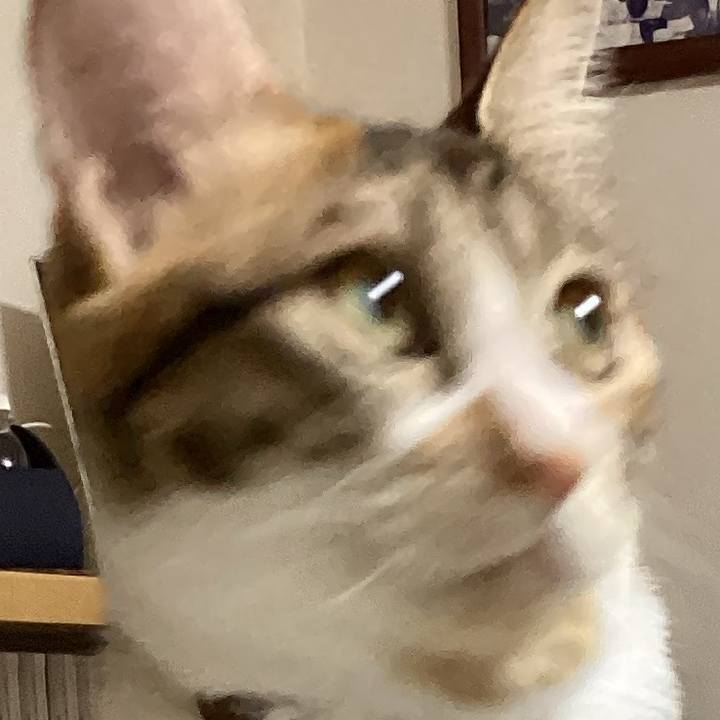 6a0b1d00 c668 470c b9cf 80bcb5a0e930 1668416903753